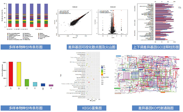 生物信息分析平台整体解决方案-凌恩2019定稿-9.jpg