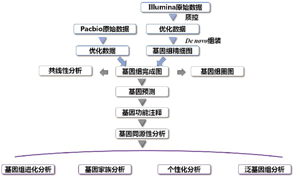 生物信息分析平台整体解决方案-凌恩2019定稿-6.jpg