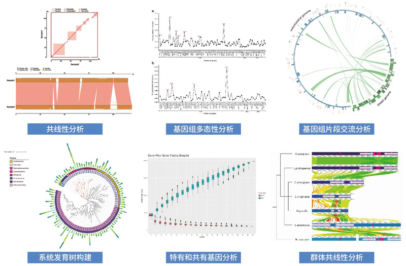 生物信息分析平台整体解决方案-凌恩2019定稿-6.2.jpg